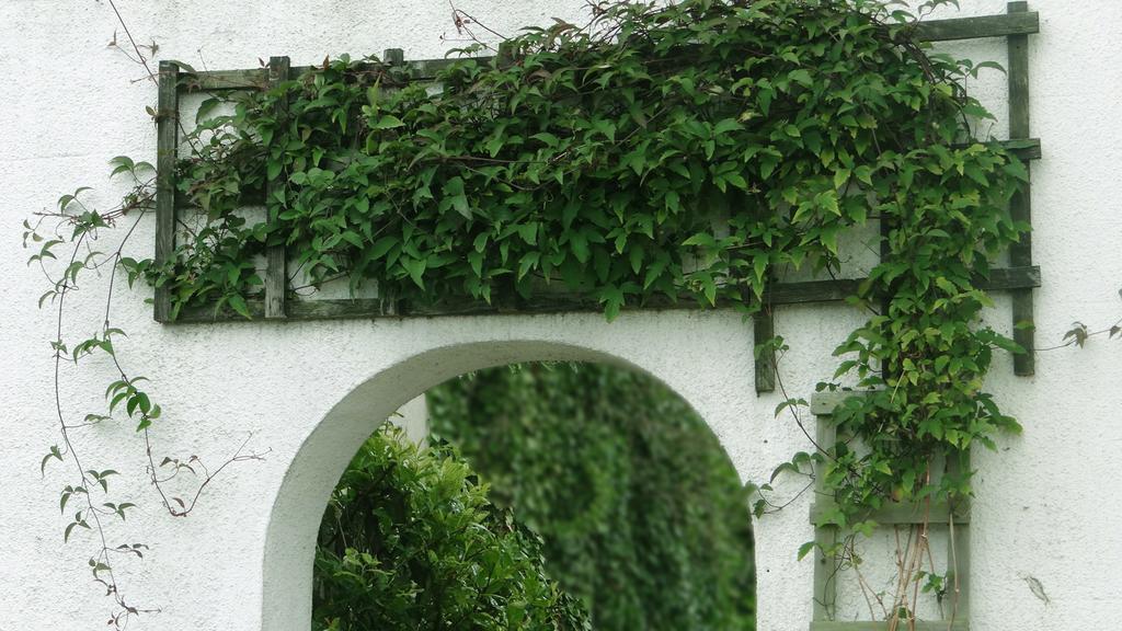 Jessamine House Hotel グレーブゼンド エクステリア 写真